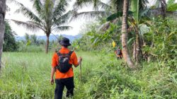 Warga Cimanggu yang Hilang di Hutan Nambo Girang Ditemukan Selamat